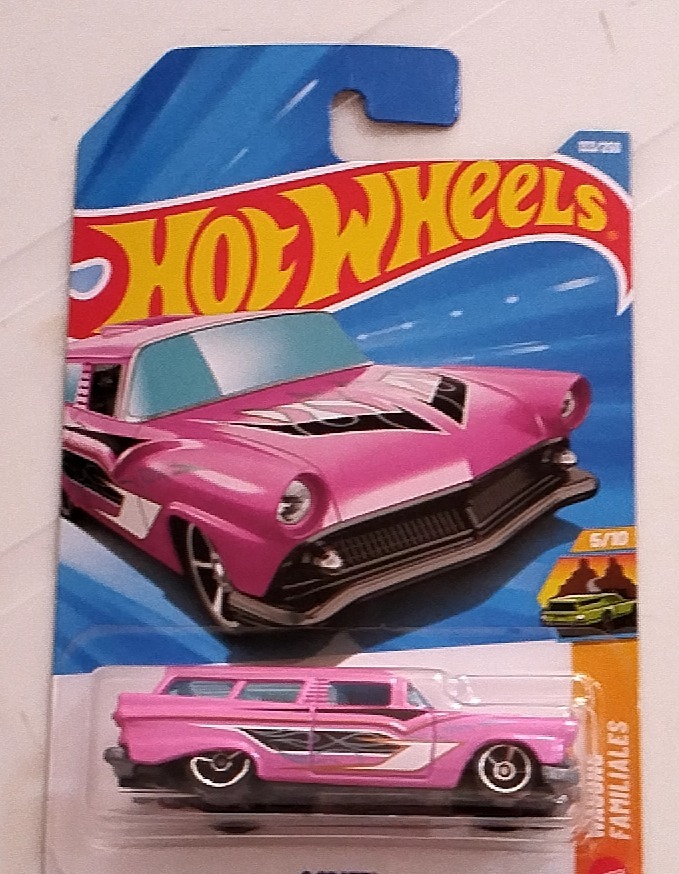 '56 Ford Panel