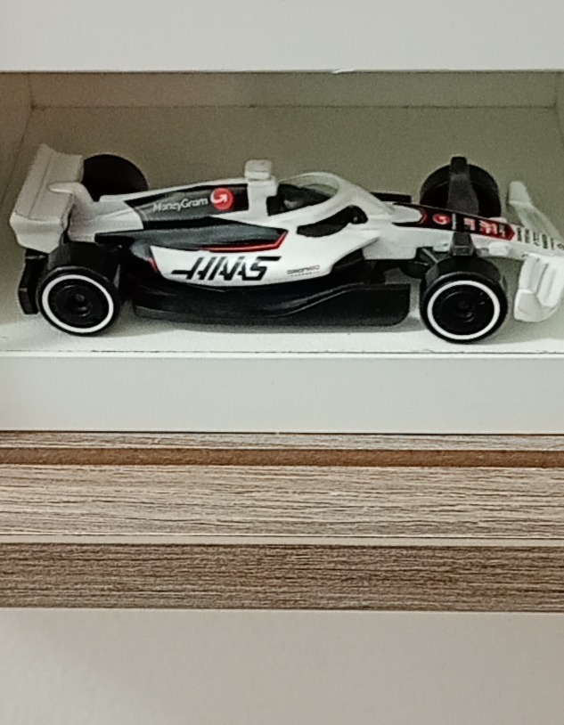 HAAS F1 RACER