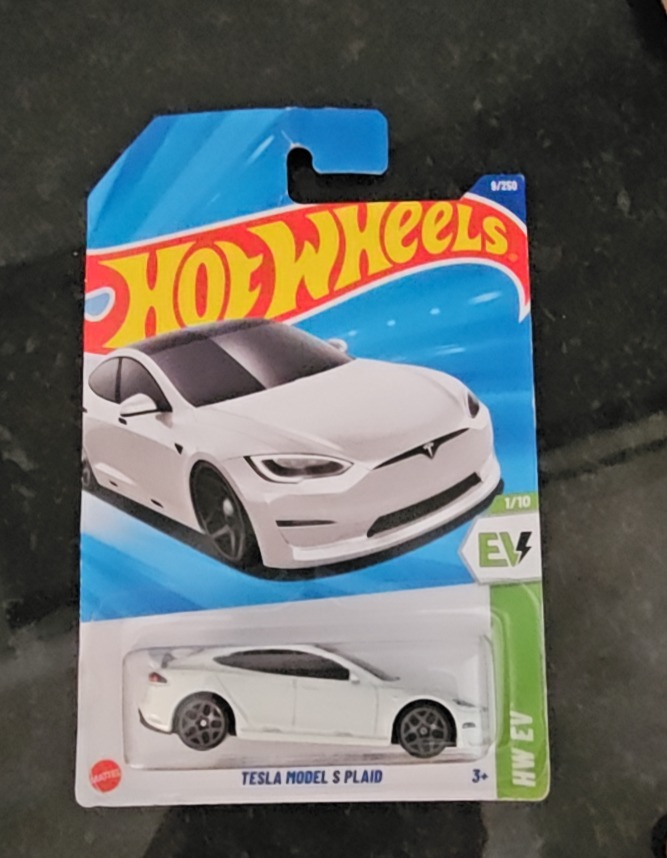 Tesla Model S Plaid (2nd Color)