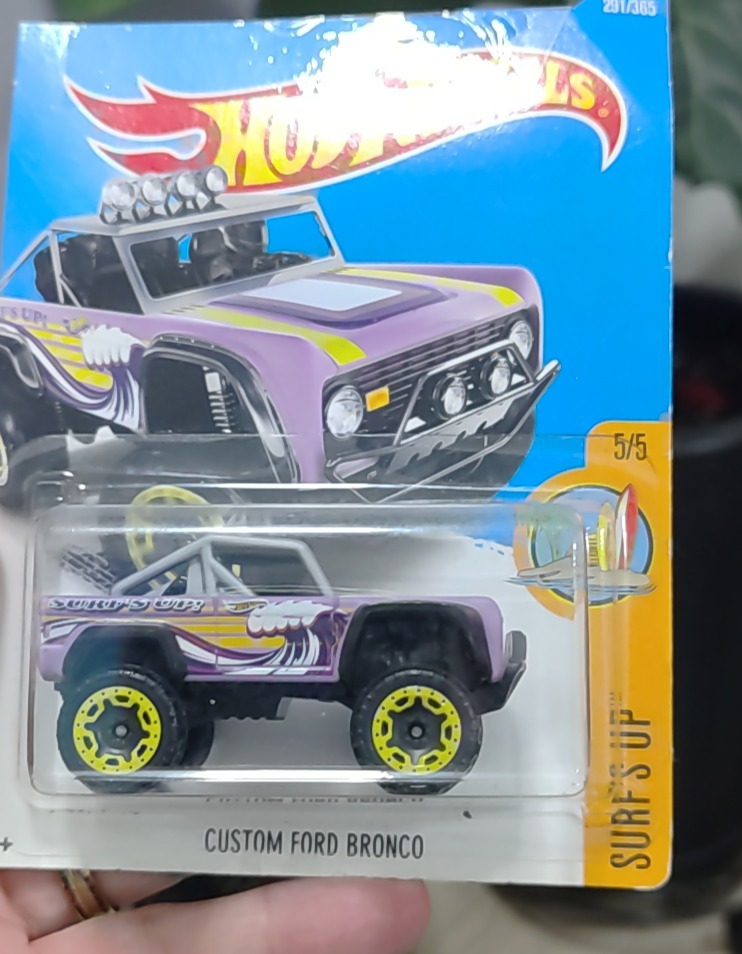 Custom Ford Bronco