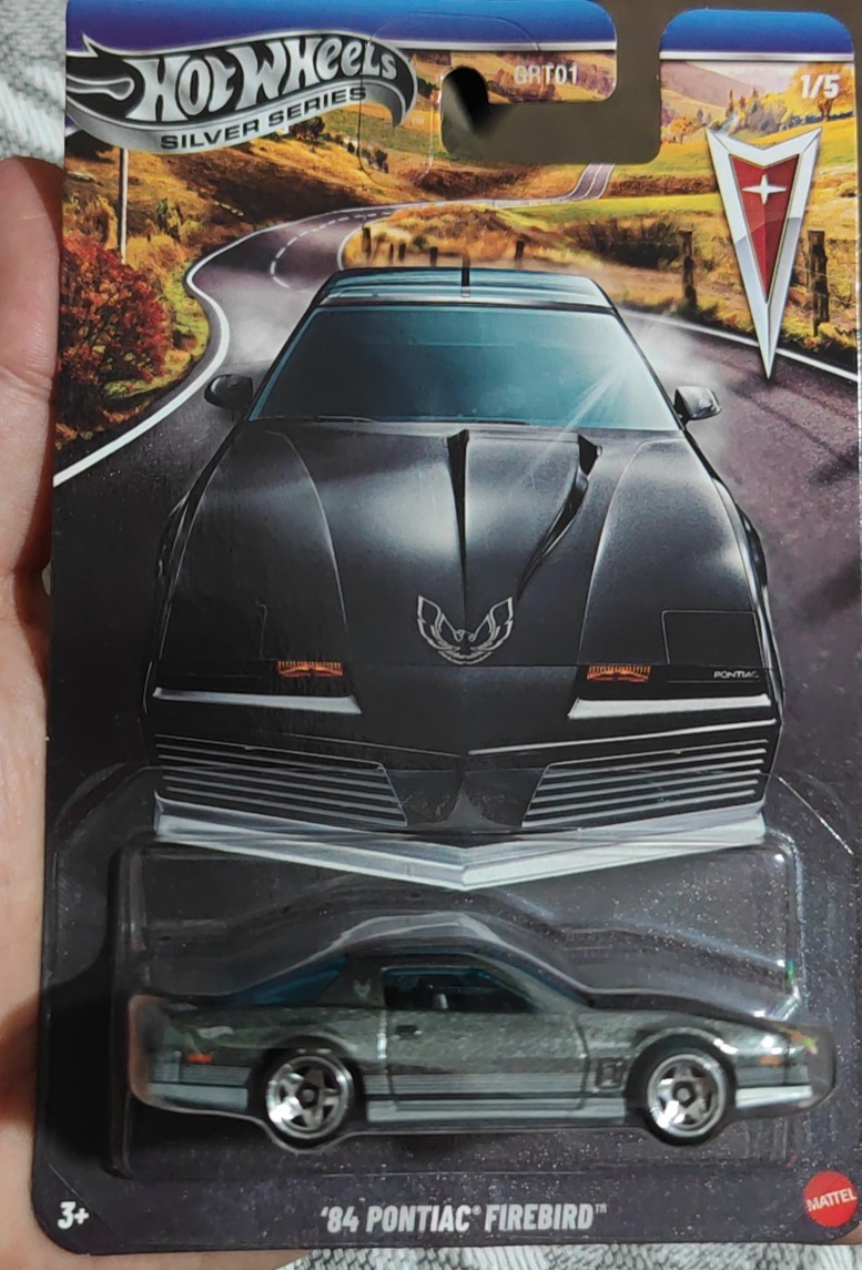 '84 Pontiac Firebird