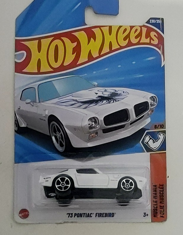 '73 Pontiac Firebird