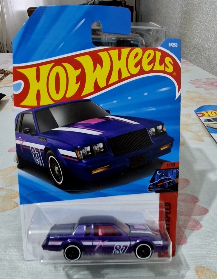 '87 Buick Regal GNX