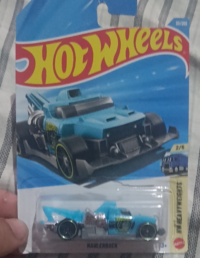 Haulerback