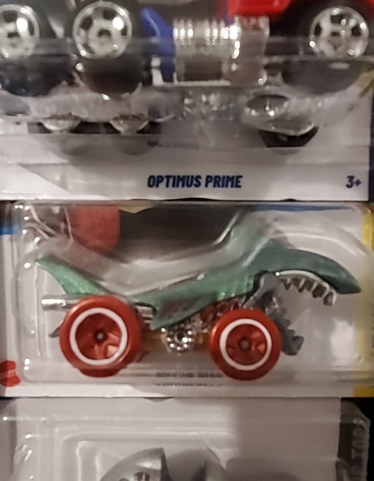 Shark Bite